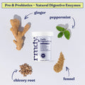 Daily Probiotics by RMDY: 4-in-1 Probiotic Capsules